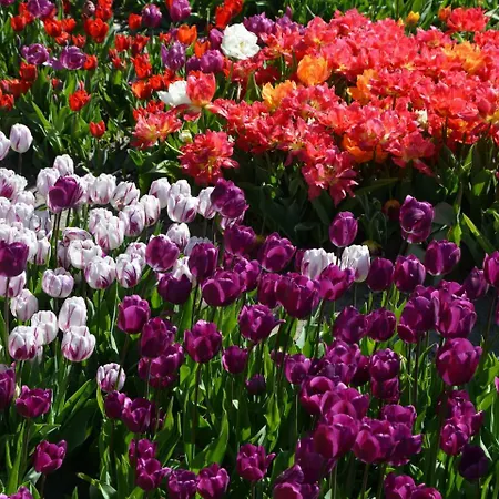 펜션 Modern Holiday Home In Katwijk Aan Zee Near Beach *